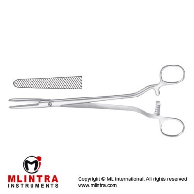 Segond-Landau Hysterectomy Forcep Straight Stainless Steel, 24 cm - 9 1/2"